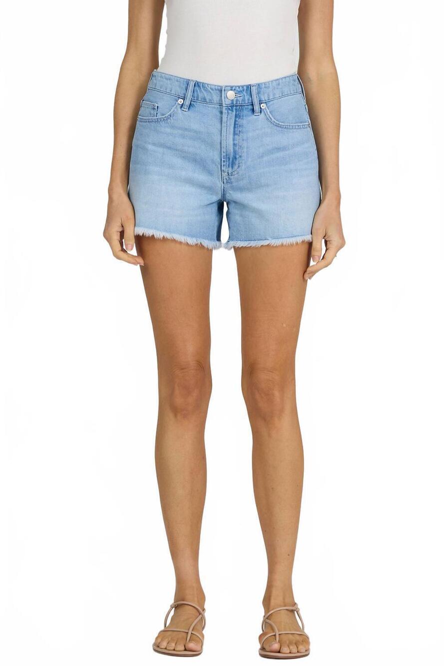 NEW DEAR JOHN DENIM ivy shorts in calm waters